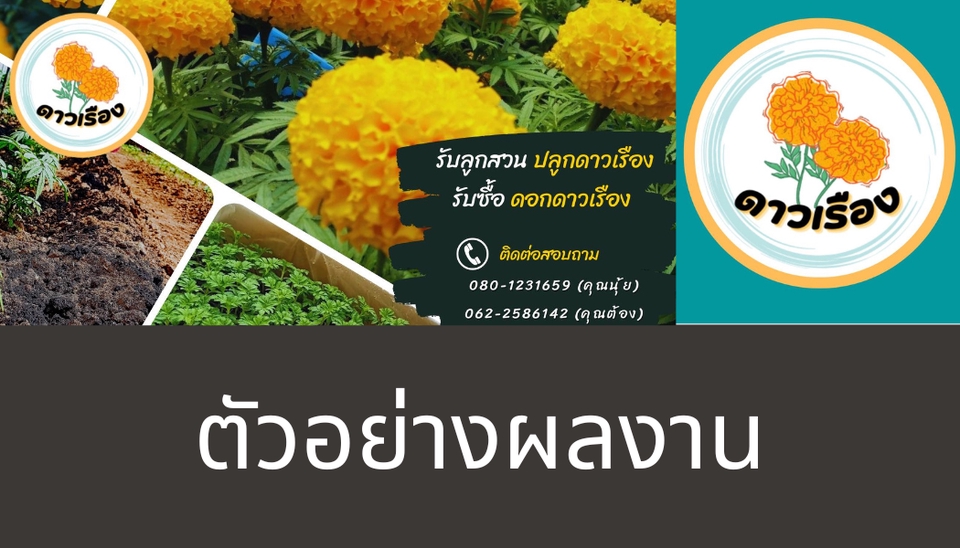 Logo - รับออกแบบโลโก้ - 7