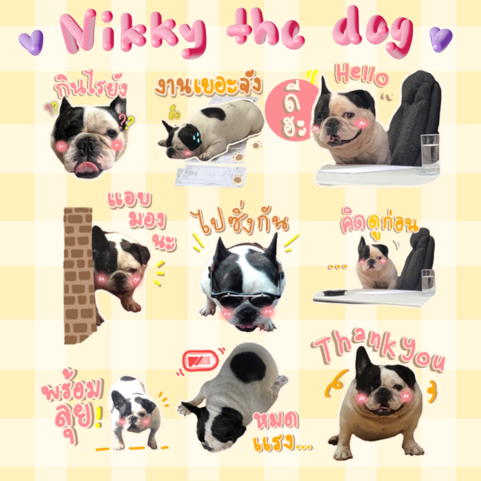 ออกแบบ LINE Sticker - สติกเกอร์ไลน์จากรูปภาพ - 6