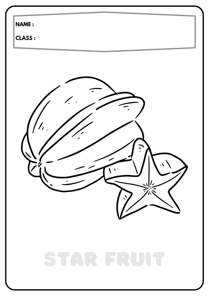 Ilustrasi buah starfruit, jasa ilustrasi makanan, gambar buah starfruit, desain ilustrasi buah, jasa illustrator buah, jasa gambar ilustrasi buah starfruit.