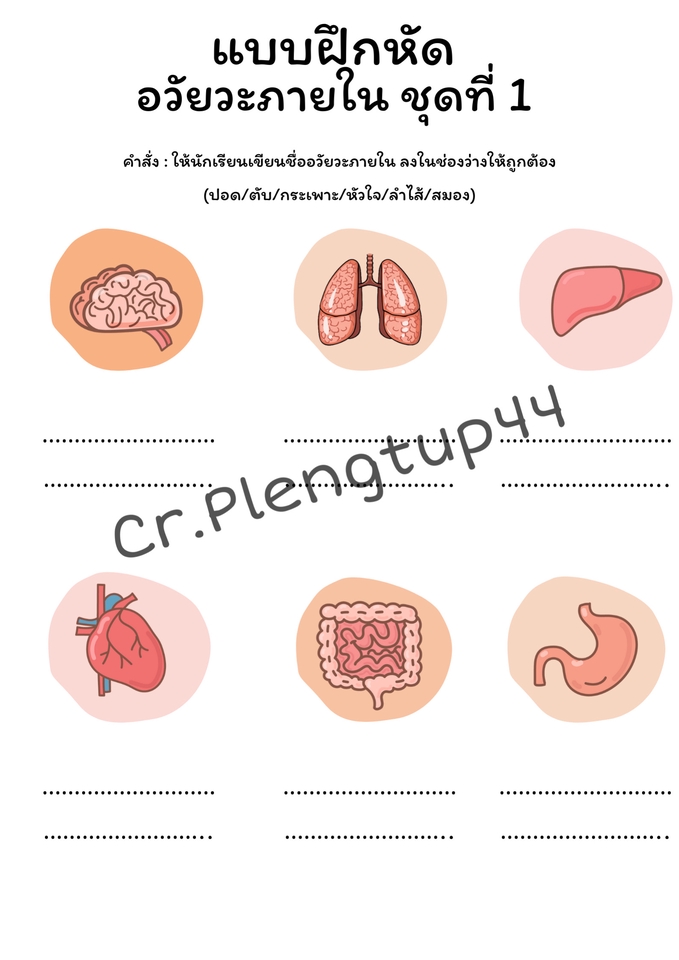 Presentation - รับทำ Slide Presentation สื่อการสอน ทุกรูปแบบ - 12