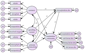 วิเคราะห์ดาต้า - วิเคราะห์ข้อมูล SPSS AMOS หรือโปรแกรมอื่นๆ ที่คล้ายกัน - 4