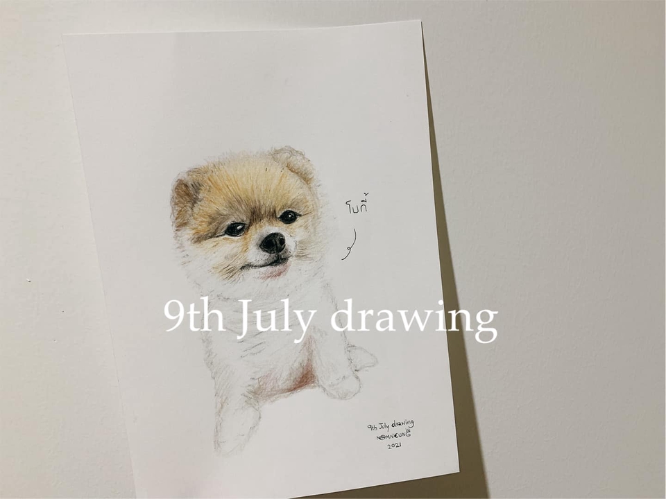 วาดภาพเหมือน Portrait - 9th July drawing : รับวาดภาพเหมือนสัตว์เลี้ยงตามสั่ง ภาพเหมือนสีไม้ - 6