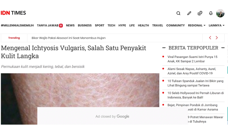 Penulisan Konten - Pengetikan Artikel Website/Blog Tema Bebas Sehari Bisa Jadi - 1