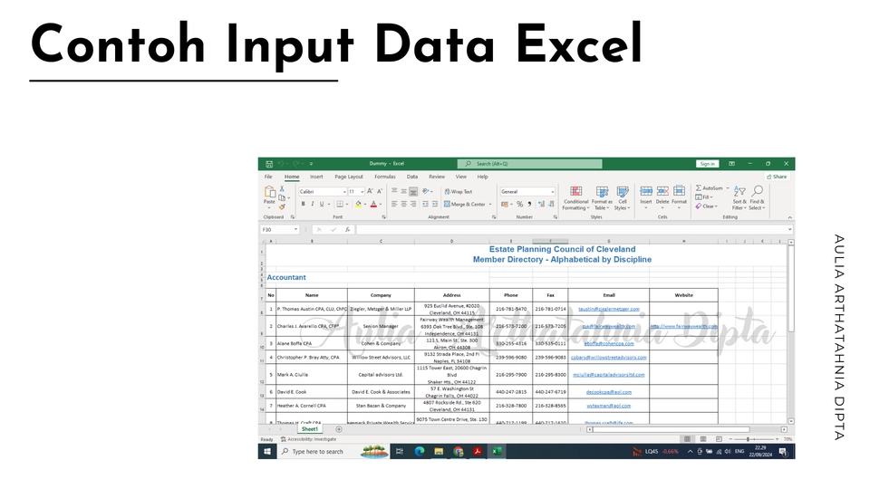 Jasa input data excel, contoh data entry spreadsheet