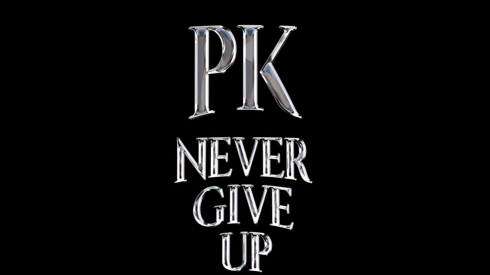 Logo - Never Give up - 1