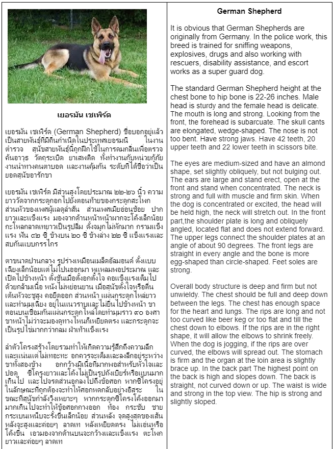 แปลภาษา - แปลภาษาทั่วไป - 4