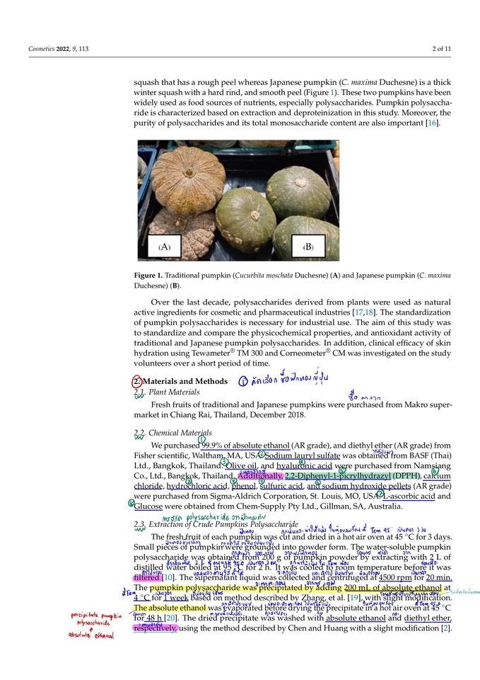 แปลภาษา - รับแปลชื่อสินค้า ประเภทสินค้า - 4