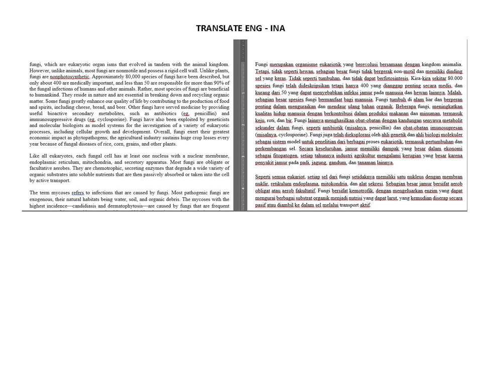 Penerjemahan - TRANSLATE ENG-INA / INA-ENG - 3