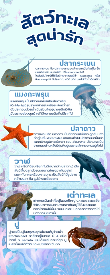 ออกแบบ infographic สัตว์ทะเล อินโฟกราฟฟิค สัตว์น้ำทะเล รับทำ infographic สัตว์ทะเล