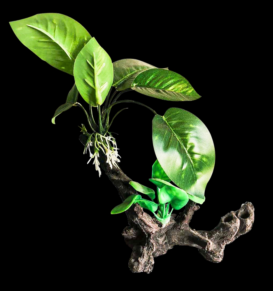 ไดคัท & Photoshop - ไดคัทฉากหลังออก - 7