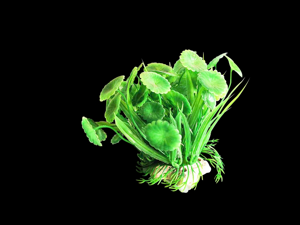 ไดคัท & Photoshop - ไดคัทฉากหลังออก - 9