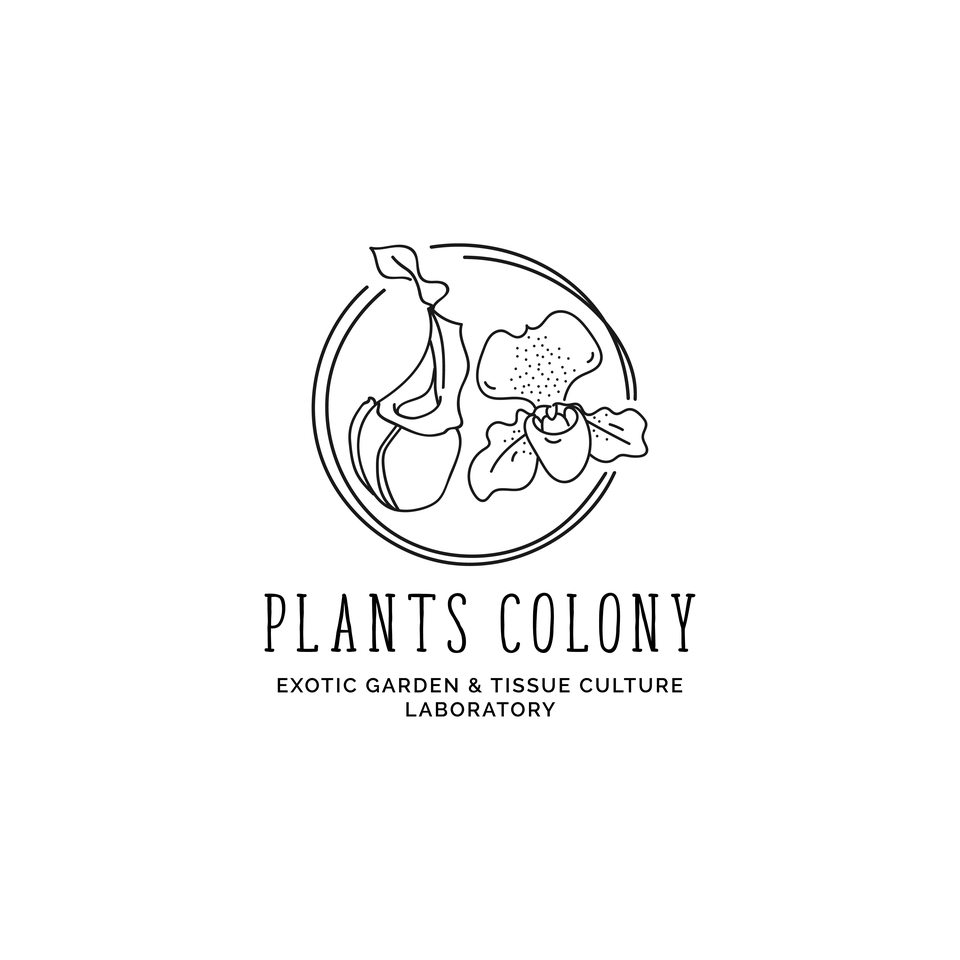 Jasa desain logo untuk tanaman dengan logo Plants Colony, cocok untuk bisnis anda.