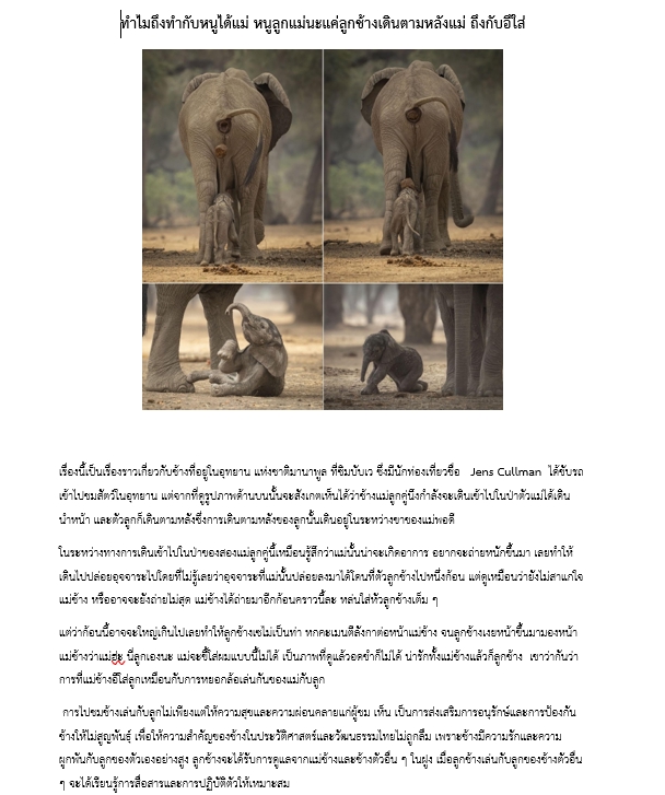 เขียนบทความ - รับเขียนบทความทุกแบบทุกสไตล์ตามหลัก SEO  - 7