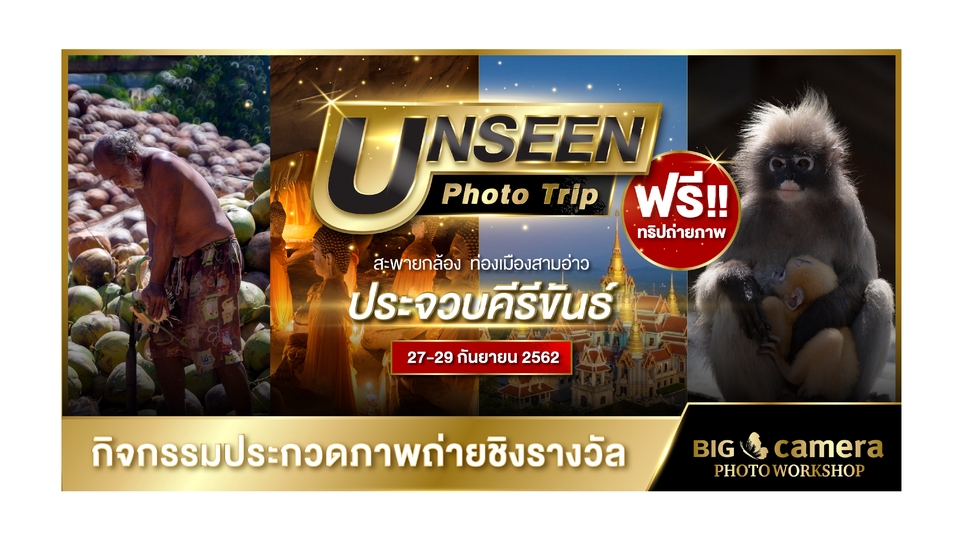 Banner โฆษณา - Banner / Ads / Content - 25