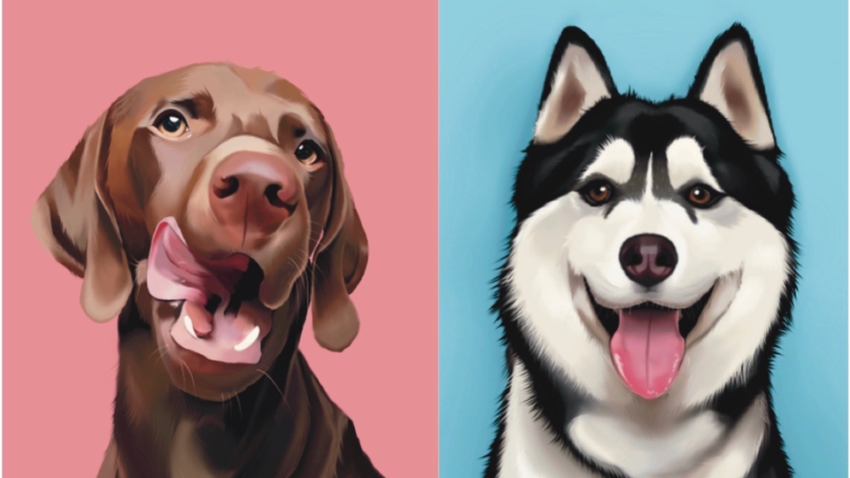 วาดภาพประกอบ - วาดภาพสัตว์digital painting - 1