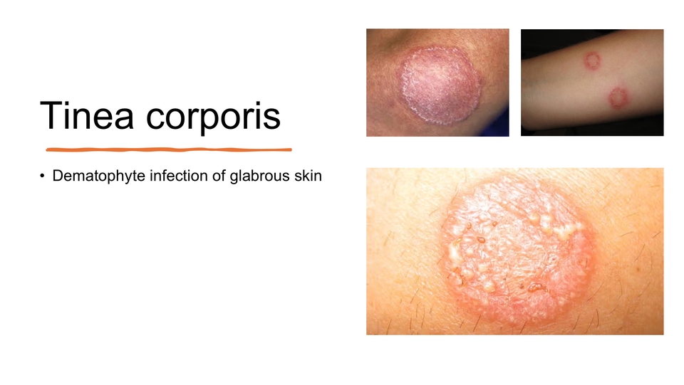 รับทำ presentation ผลงานวิชาการ บริการรับทำ presentation คุณภาพสูง