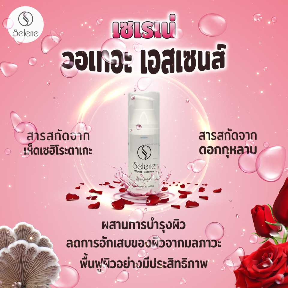 Banner โฆษณา - รับออกแบบและตกแต่งภาพโฆษณาสินค้า - 5