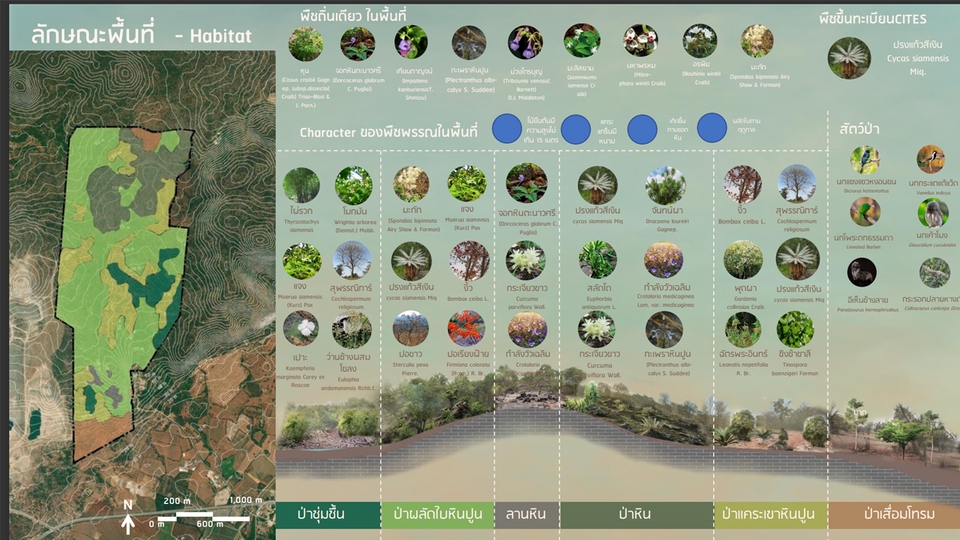 Infographics - รับออกแบบ infographic ให้ความรู้,Content - 3