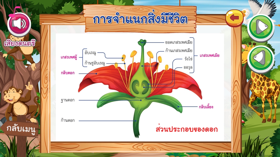 Animations - รับทำสื่อบทเรียนคอมพิวเตอร์ช่วยสอน CAI - 26