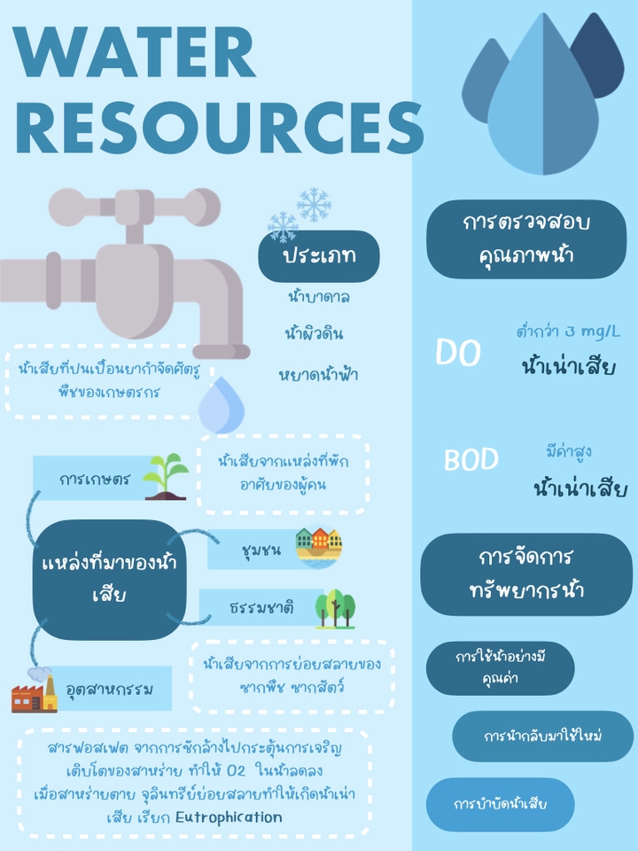 Infographics - Infographic - 5