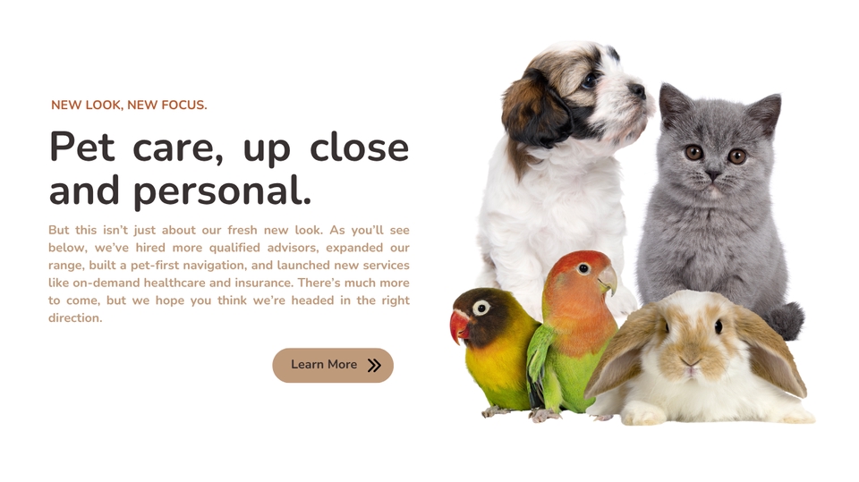 Web Development - Design Website - 15