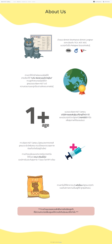 Web Development - รับออกแบบและเขียนเว็บไซต์ ดีไซน์สวย ทันสมัย ตามบรีฟลูกค้า งานไว - 7