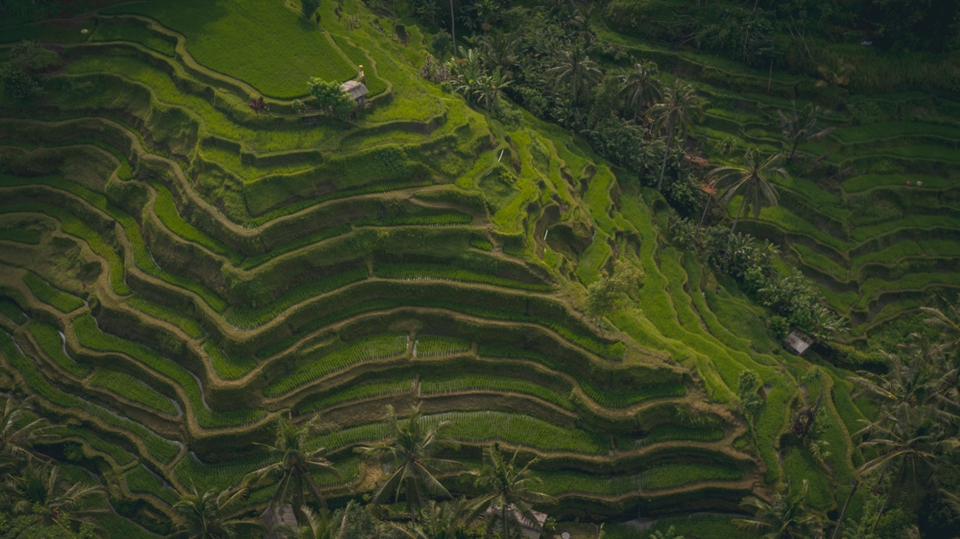 Produksi Video - Drone cinematic production Depok - 6