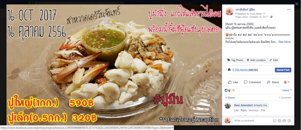 แอดมินดูแลเพจ เว็บไซต์ และร้านค้าออนไลน์ - AdminดูแลPage web  และเขียนcontent - 15