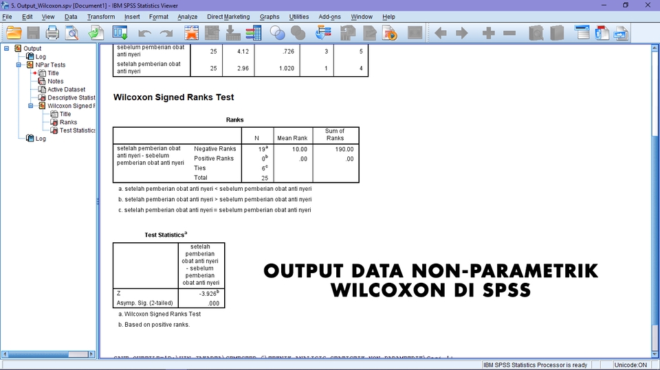 Analisis Data Univariat Bivariat Multivariat Skripsi Tesis Spss Stata Sederhana Big Data