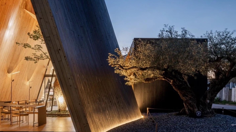 Lighting design that blends light and shadow to create mood, depth, and unforgettable spaces.