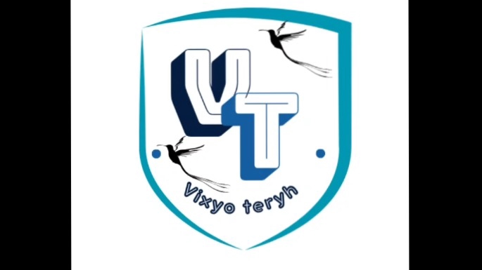 Logo VT, desain logo profesional, desain logo online, jasa desain logo, desain logo perusahaan, buat logo online, jasa buat logo online, bikin logo online