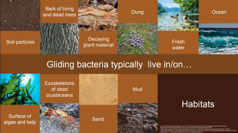 รับพิมพ์งาน รับคีย์ข้อมูล รับทำ excel รับแปลงไฟล์ pdf รับจัดรูปเล่มรายงาน รับบริการจัดฟอแมตเอกสาร พนักงานคีย์ข้อมูล