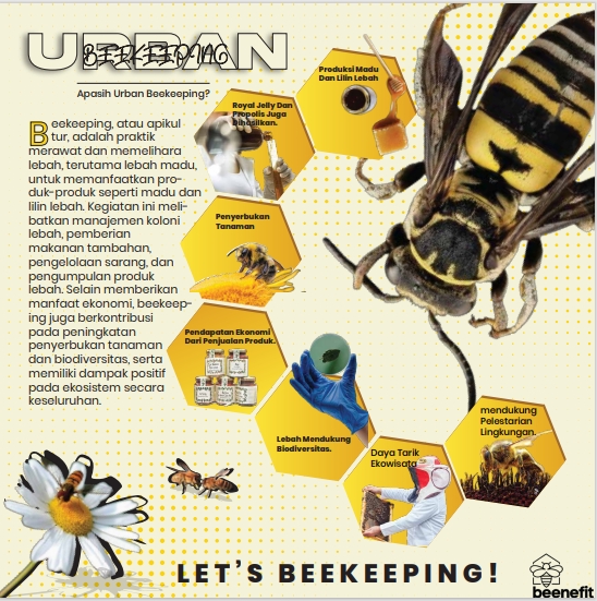 Infografis - Design Infographic Professional - 4