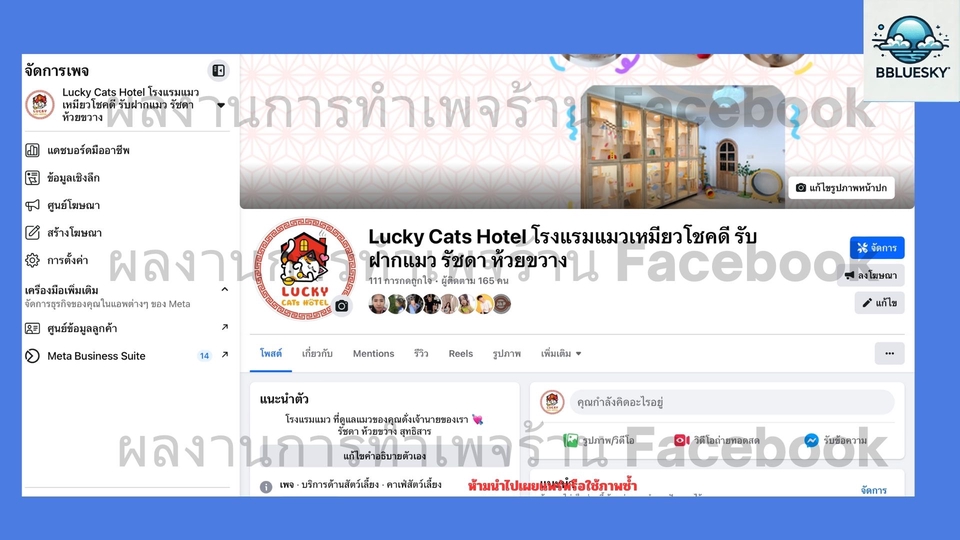 รับทำ google my business ปักหมุด google map เพิ่มร้านใน google map ร้าน Lucky Cats Hotel เพิ่มแผนที่ร้านค้าใน google map รับทำแผนที่ google map