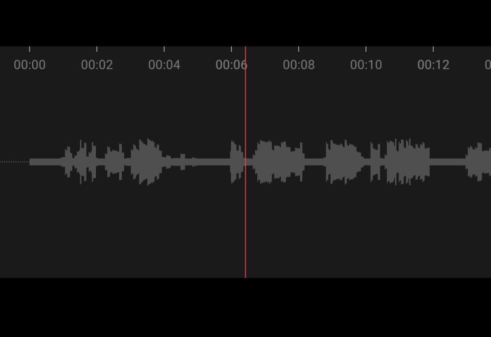 Voice Over - รับลงเสียงวีดีโอค่ะ - 2