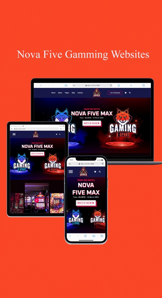 Web Development - Jasa pembuatan web statis ( html, css, dan javascript ) - 5