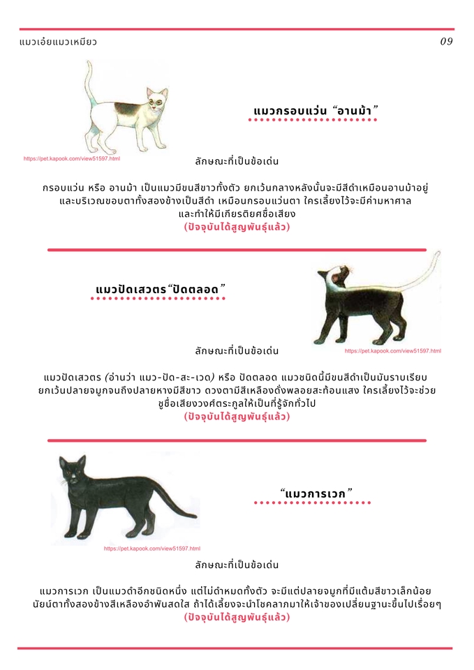 รับพิมพ์งาน รับพิมพ์งานด่วน รับพิมพ์เอกสาร รับพิมพ์งานทั่วไป รับคีย์ข้อมูล พนักงานคีย์ข้อมูล รับแปลงไฟล์ pdf รับทำรายงาน