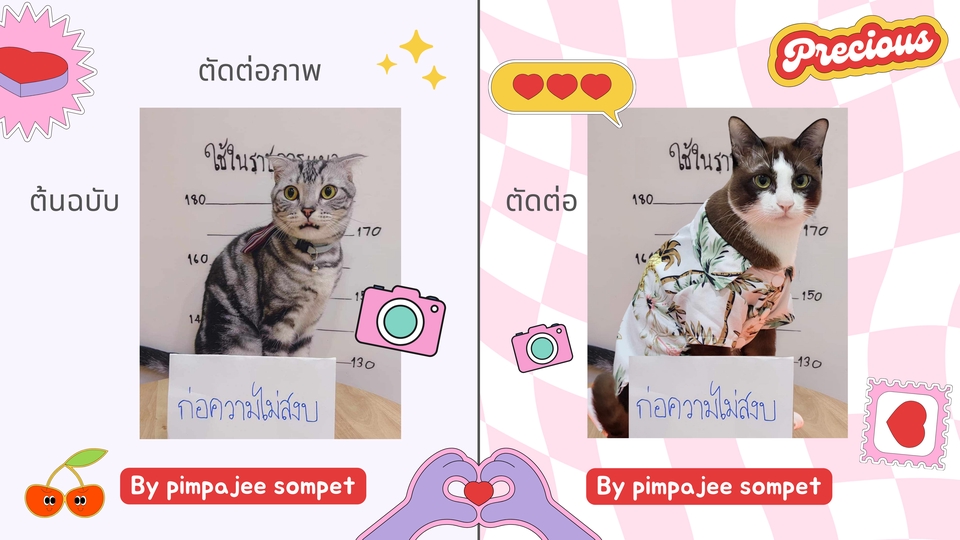 รับแต่งรูปภาพแมว รับตัดต่อภาพแมว รับทำ photoshop แมว รับแก้ไขภาพแมว รับรีทัชภาพแมว