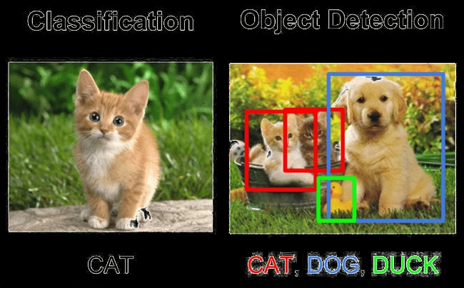 Jasa Lainnya - Machine Learning/Deep Learning untuk Object Detection, Klasifikasi Objek, dan Sejenisnya (Python) - 5