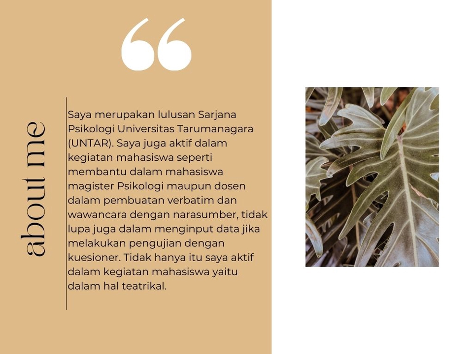 Pengembangan Diri - Life Consultation - 3