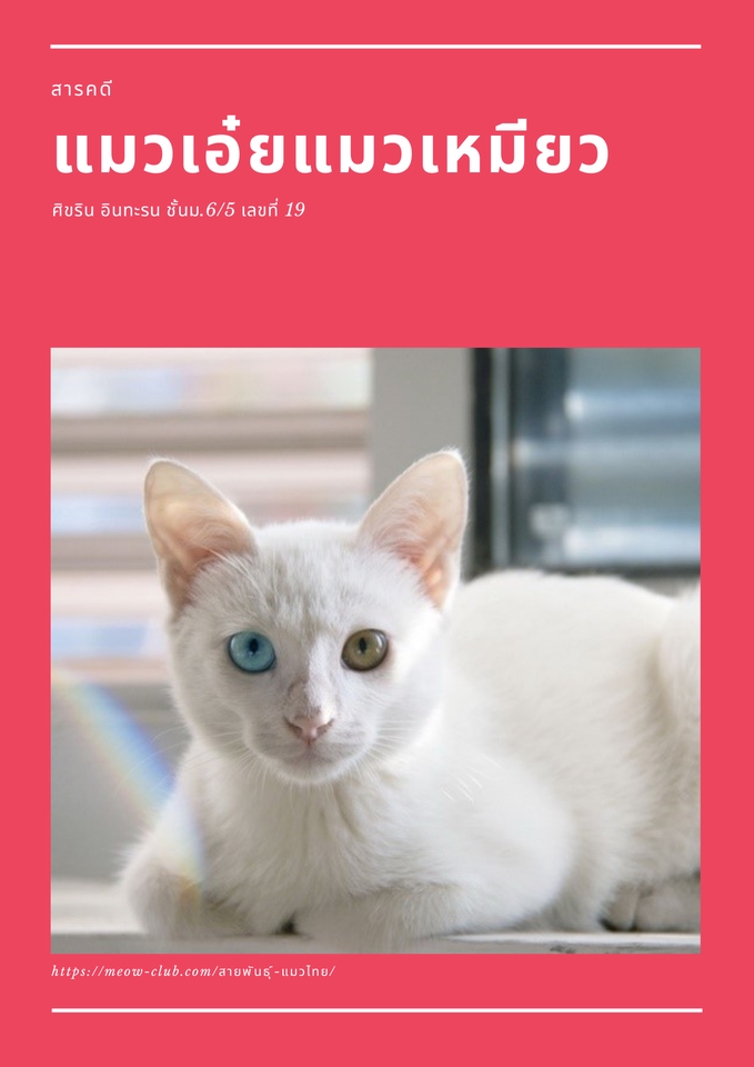 รับพิมพ์งานด่วน รับคีย์ข้อมูล รับทำ excel รับแปลงไฟล์ pdf รับจัดรูปเล่มรายงาน