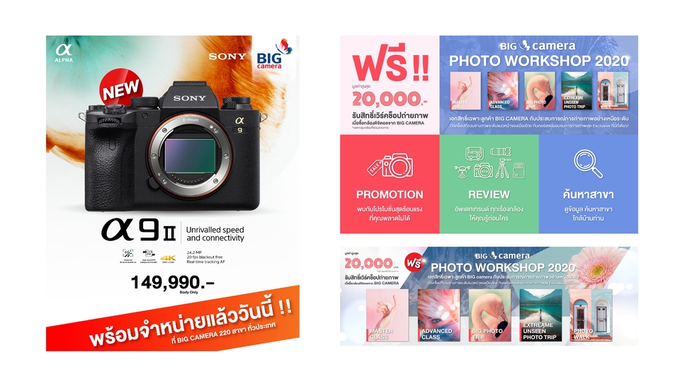 Banner โฆษณา - Banner / Ads / Content - 12