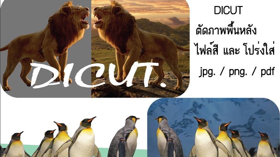 ไดคัท & Photoshop - งาน ไดคัทชิ้นงาน ตกเเต่งเเละออกแบบ รูปภาพ เปลี่ยนสีชิ้นงาน โลโก้ - 1