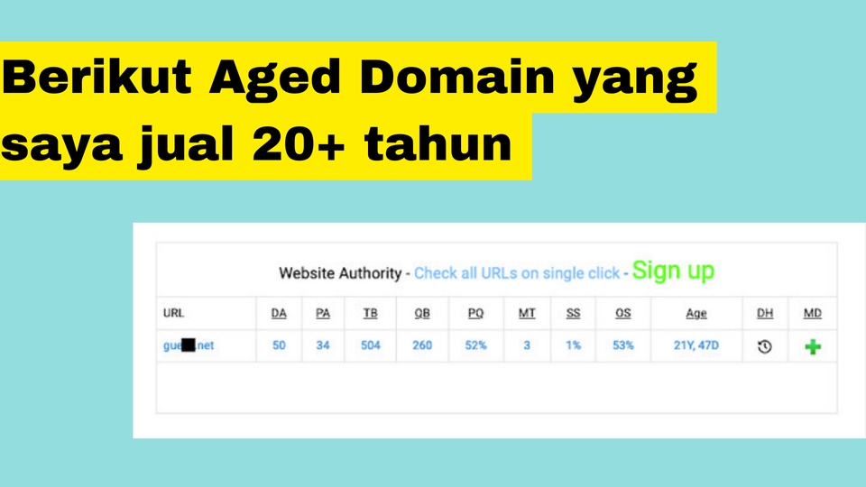 Digital Marketing - Jual Jasa Aged dan Expired Domain High DA PA - 5