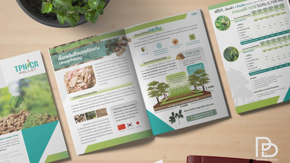 Infographics - 👨💻 รับออกแบบ Infographic - 25