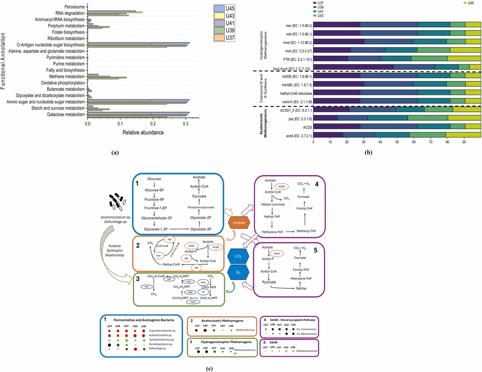 Jasa Analisis Data Statistik: Diagram analisis metabolisme fermentasi dan hidrogen.