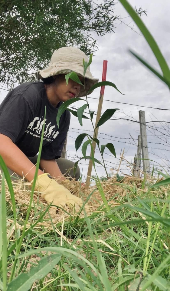 เน็ตไอดอลและบล็อกเกอร์รีวิว - รับรีวิวผลิตภัณฑ์ บริการ หรือโครงการ เกี่ยวกับสิ่งแวดล้อม การเกษตร ปลูกต้นไม้ ยั่งยืน gogreen - 5