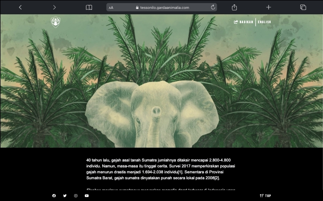 Jasa pembuatan website profesional untuk perusahaan, bisnis, dan toko online dengan harga terjangkau.