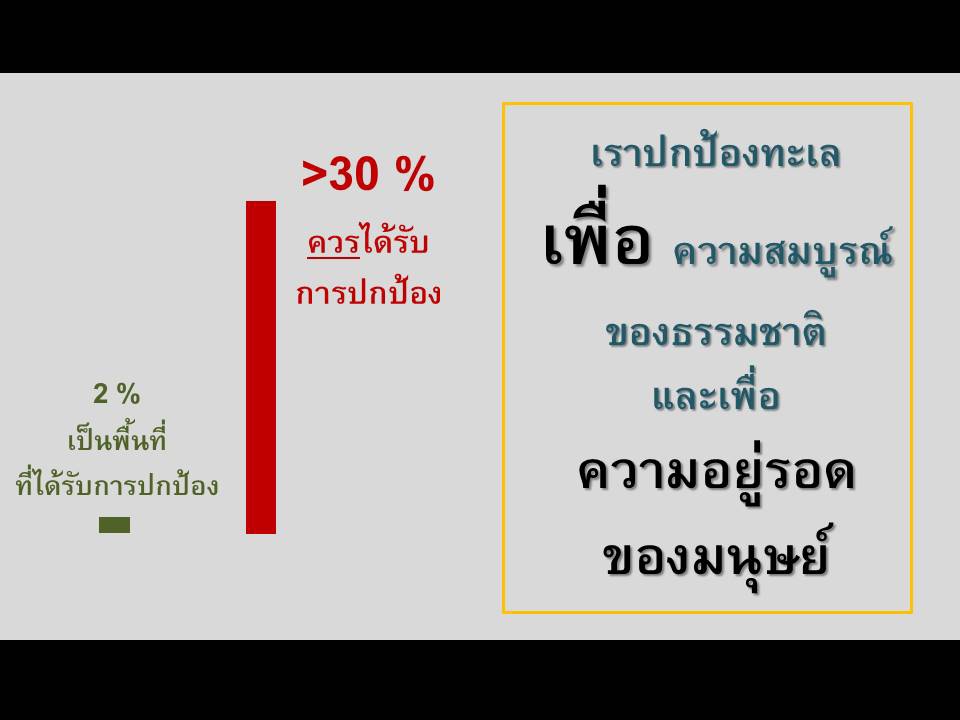 Presentation - รับทำ PowerPoint ภาษาไทย/ภาษาอังกฤษ - 4