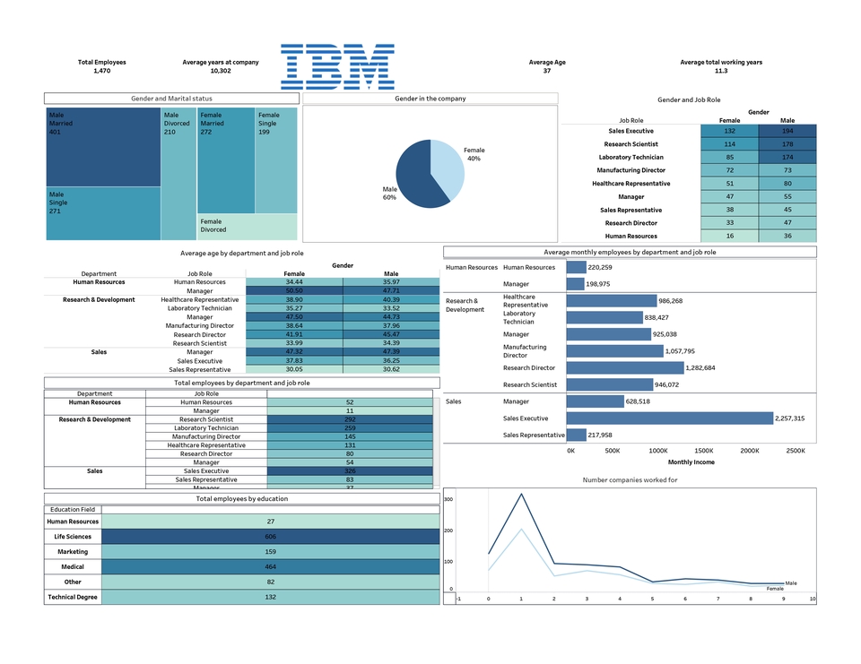 Jasa Analisis Data IBM dengan Grafik Deskriptif dan Statistik.